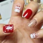 easy-beauty-takma-tirnak-desenli-r622-1