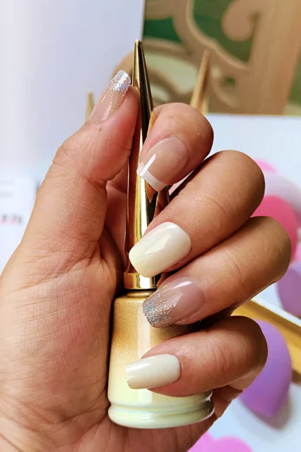 24-adet-simli-french-takma-tirnak-seti-dy1199-1