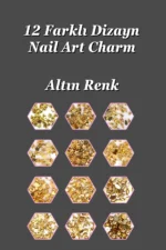 12'li Tırnak Süsleme - Nail Art Charm - Nail Art Süs Taşı - Protez Tırnak Çarm Süsü 500-20 - Görsel 2