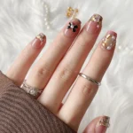 Ombre Elmas Taşlı 10 Adet Takma Tırnak Seti T087