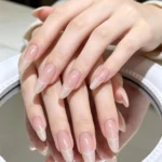 Kedi Gözü Uzun Stiletto Tırnak 10 Adet Takma Tırnak Seti T107